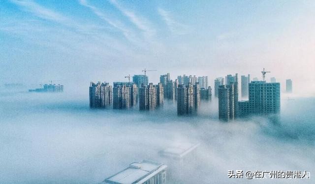 河南省城建税减半政策,洛阳的城建在河南省怎么样