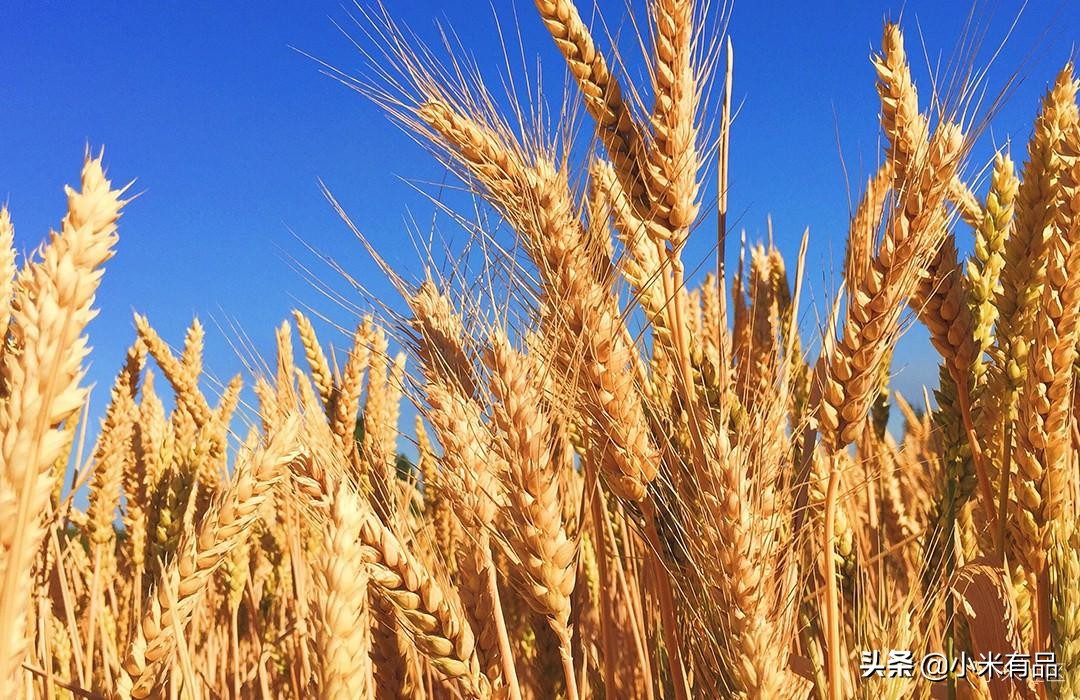 堪比万里挑一的国宝，这瓶酒到底有着怎样的魔力？