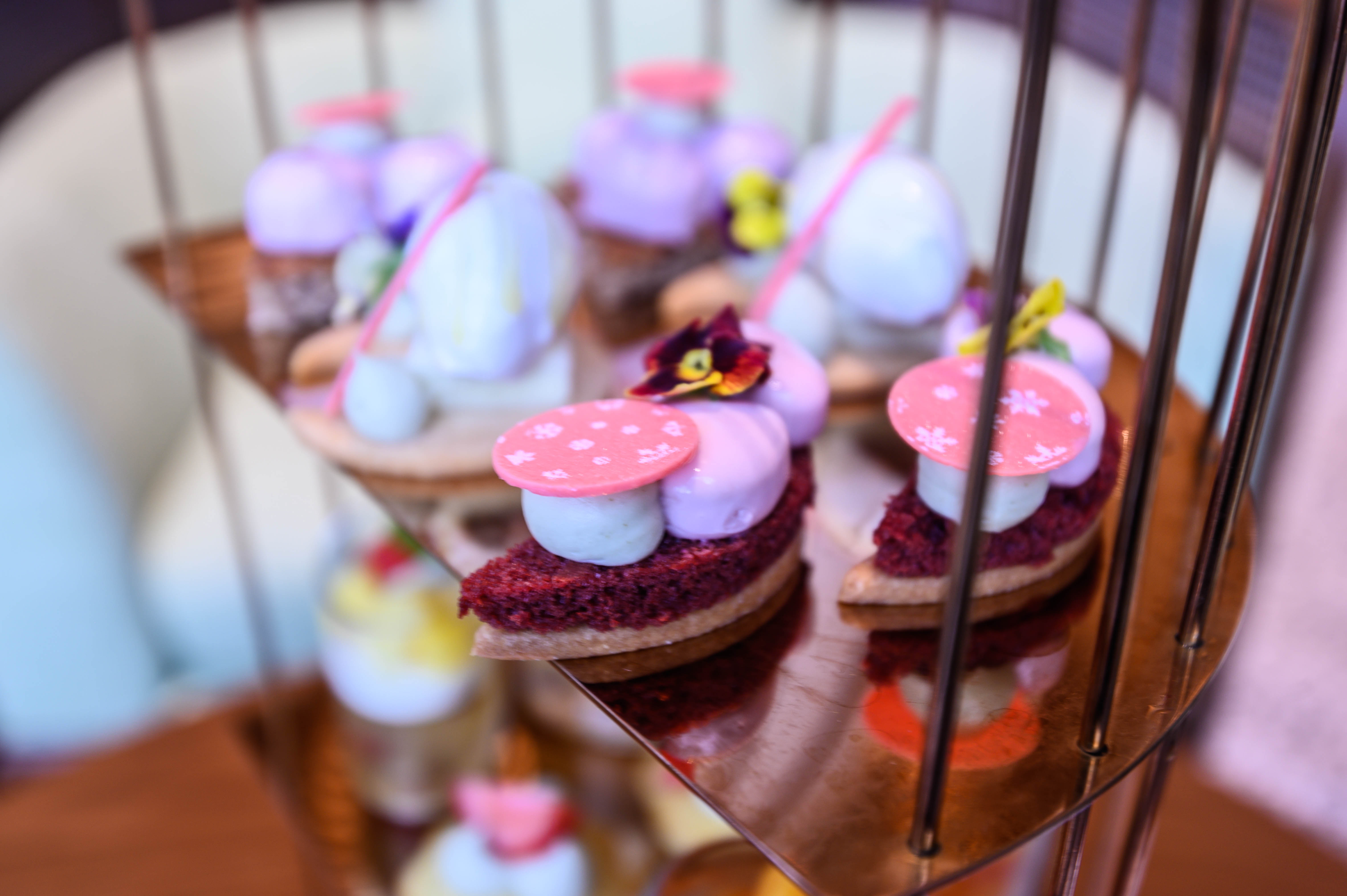 惠东平山五指毛桃窑鸡,惠东小众景点有哪些