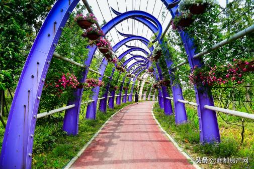 郑州野生动物园平面示意图,郑州长隆动物园