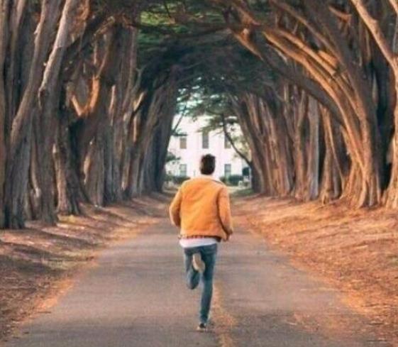 浮躁不安的心安静下来,如何让浮躁不安的心安静下来