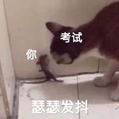 人紧张就想上厕所是什么原因,一考试就紧张想上厕所