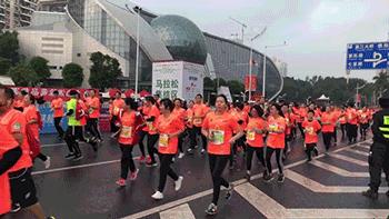 乐途马拉松竞速,第十五届南宁国际马拉松比赛
