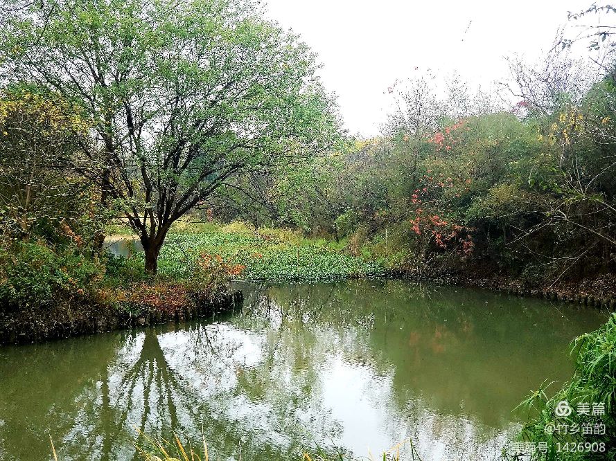 绝美西溪,西溪南冬季景色