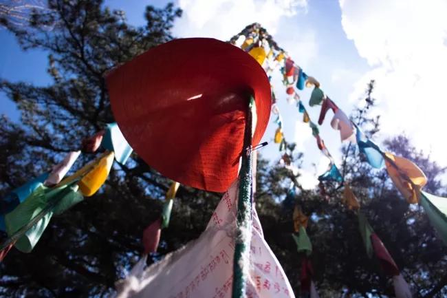 央视镜头下的杨紫文成公主,杨紫文成公主上热搜场面