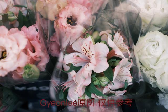 富士x100v与富士pro3,gyeonlee摄影教学