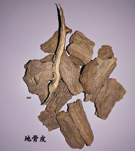 中药地骨皮的副作用,地骨皮是常用中药吗