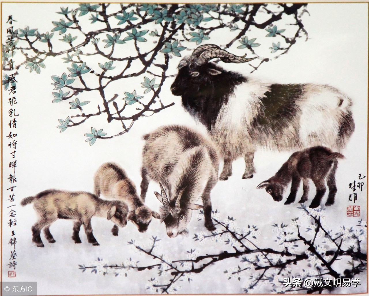 夫妻八字相克案例,夫妻八字相克的化解方法