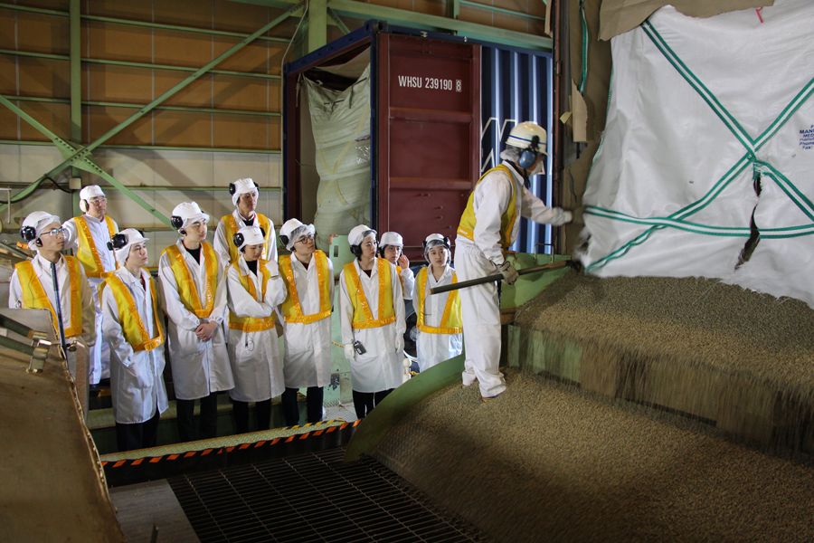 日本网红咖啡厅,网红日本杯子