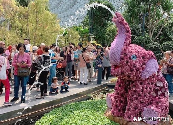 新加坡开盾构,新加坡大动作