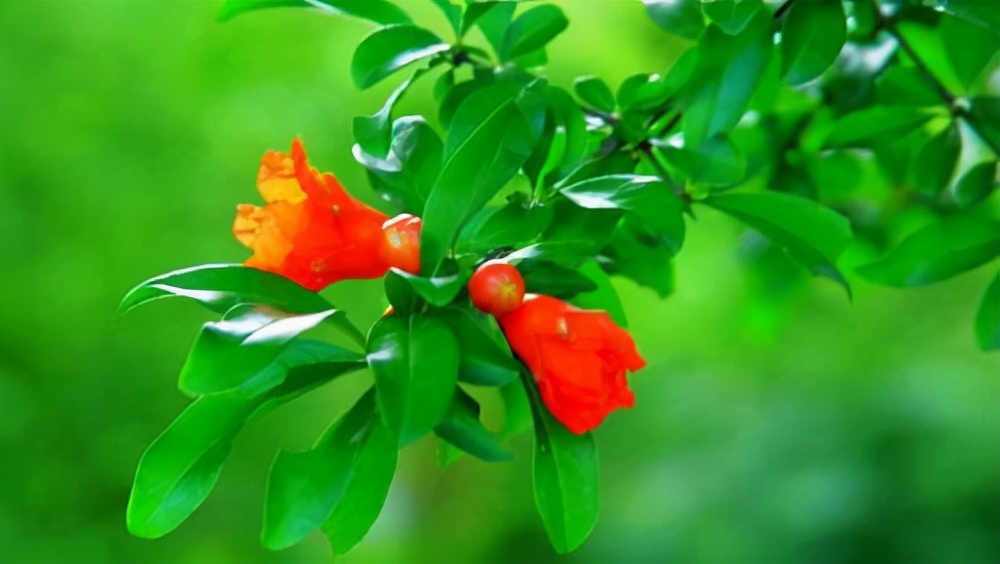 却给人澄净清冷之感的李白名句,李白写的古诗四句简单