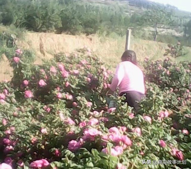 「真实故事」清洁工和女大学生在一起学习？教育公平不再是难题