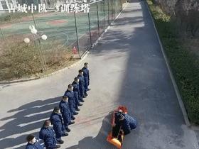 古稀老年人画,叶脉造型画