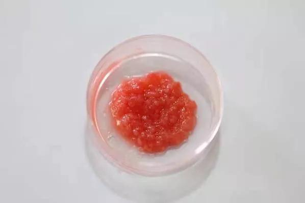 人造肉将来新消息,人造肉热潮来了