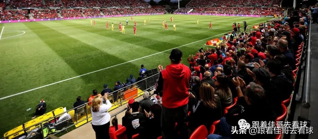 2023女足世界杯举办国家,2023女足世界杯举办