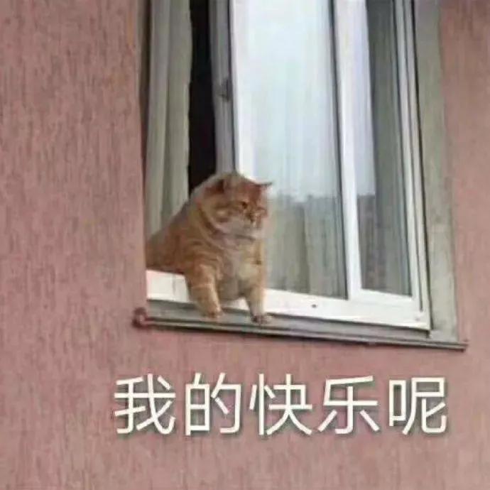 表情包搞笑沙雕惊讶的表情包,沙雕搞笑表情包动态