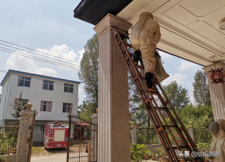 信阳今天有什么新闻大事,信阳今日热点事件