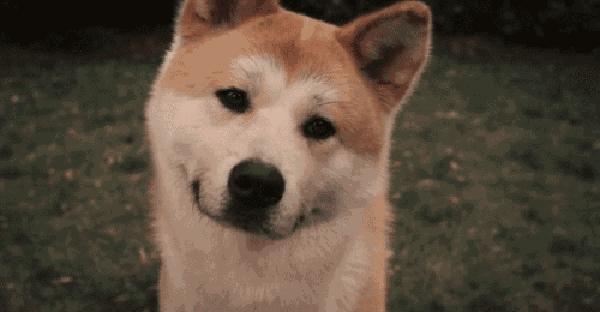 带自动启停电瓶是不是贵点,启停的电瓶会贵点吗