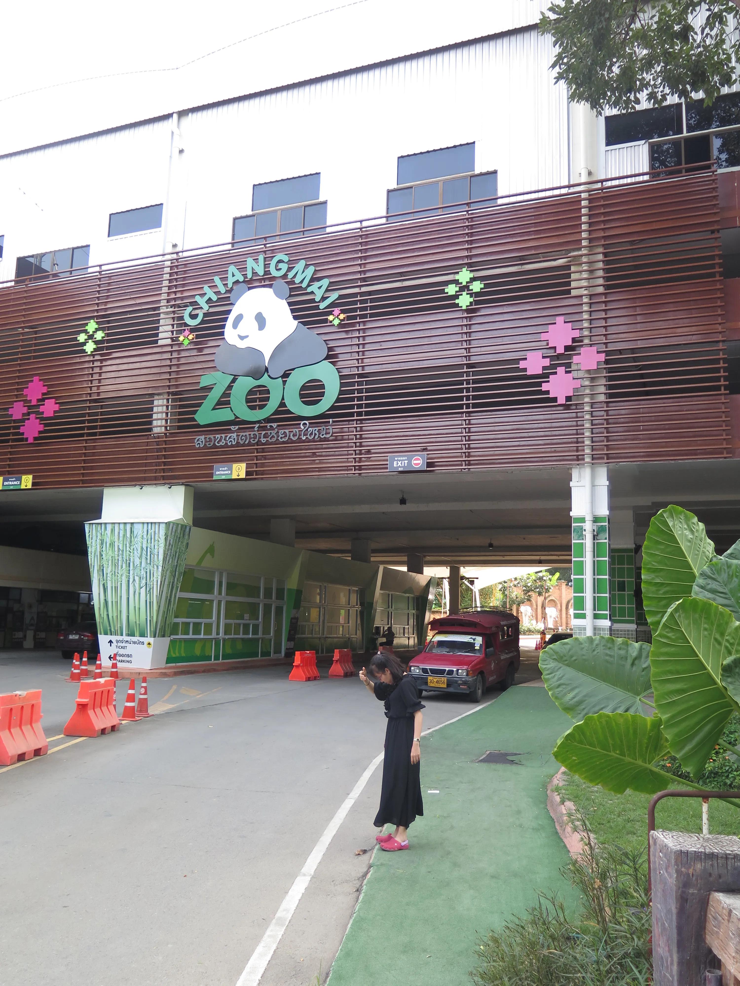 泰国旅游一定要吃什么,泰国旅游必须知道的几个景点