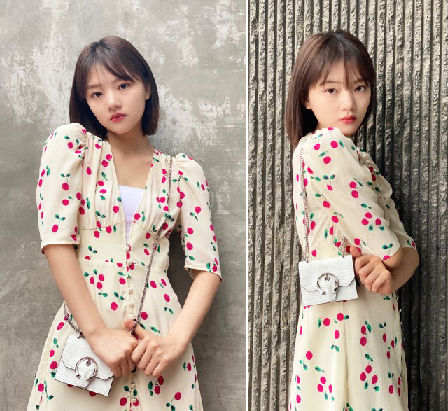 泫雅李沁,泫雅气质玫瑰花连衣裙