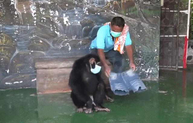 帅哥裸露卖榴莲、猩猩骑车消毒，疫情下的泰国又搞笑又心酸