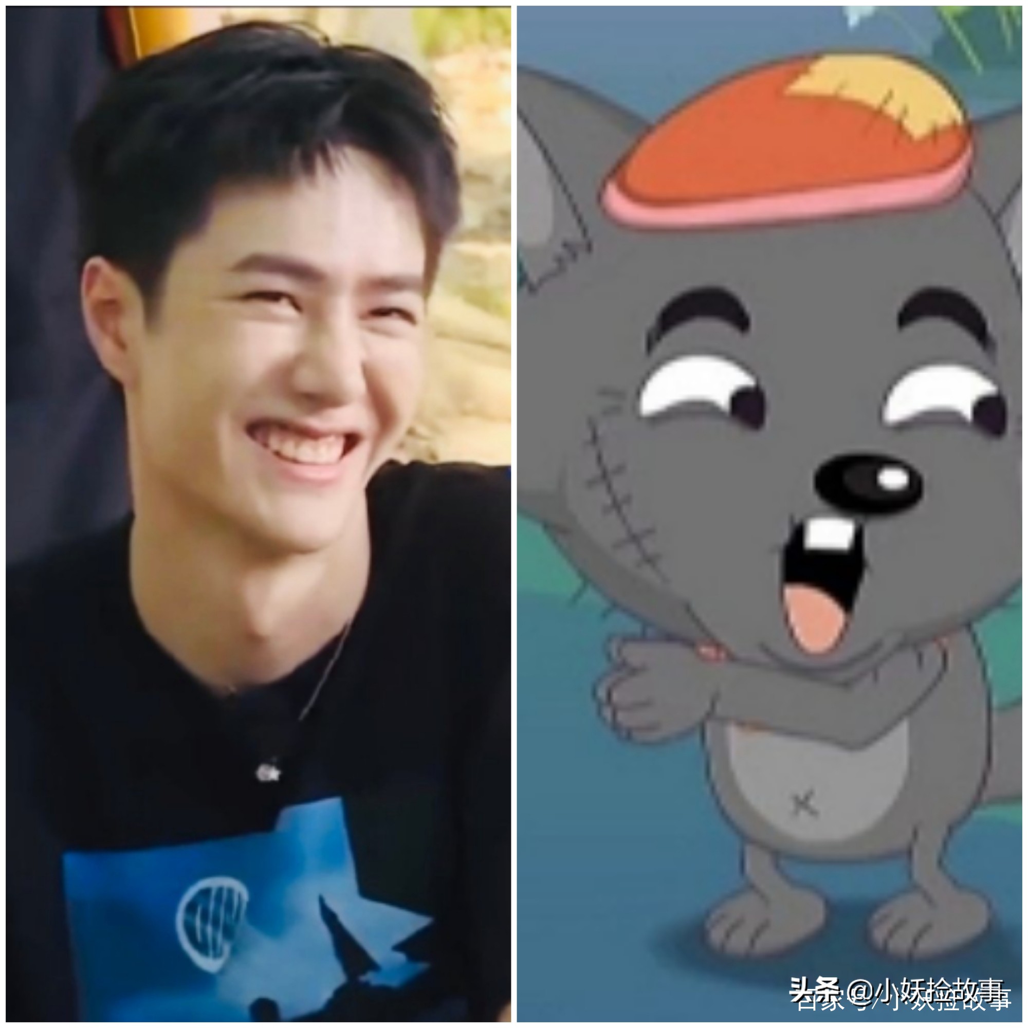 王一博丛林探险,王一博与天天兄弟团