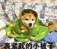 都匀又凉快又好看的地方,黔南避暑最好的地方