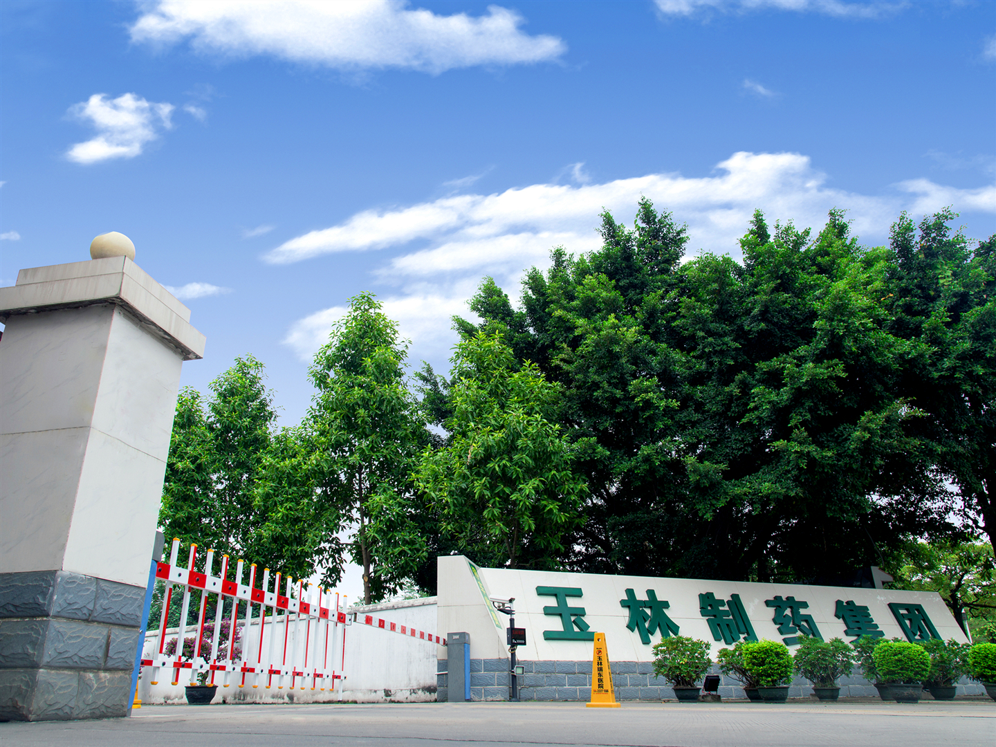 玉林制药十大品牌排名,广西玉林制药有限责任公司好吗