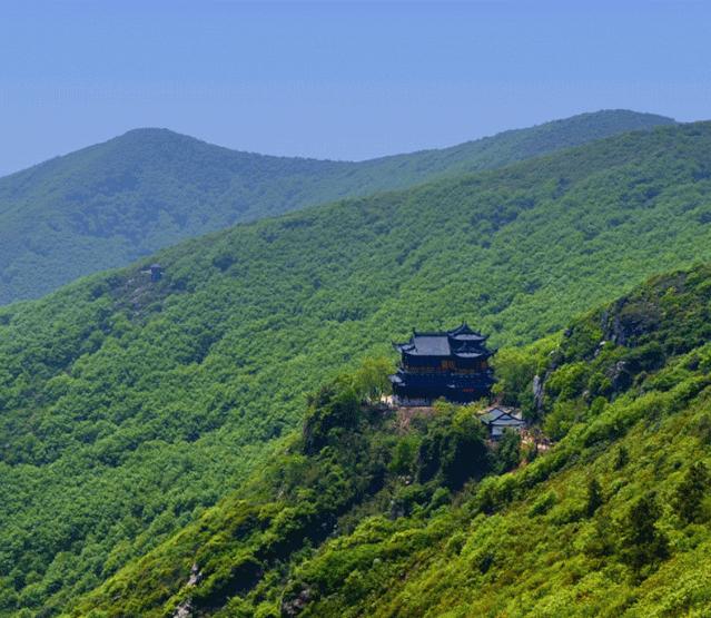 藏不住了！国庆苏州这片花海美哭了！大人小孩玩到不想走