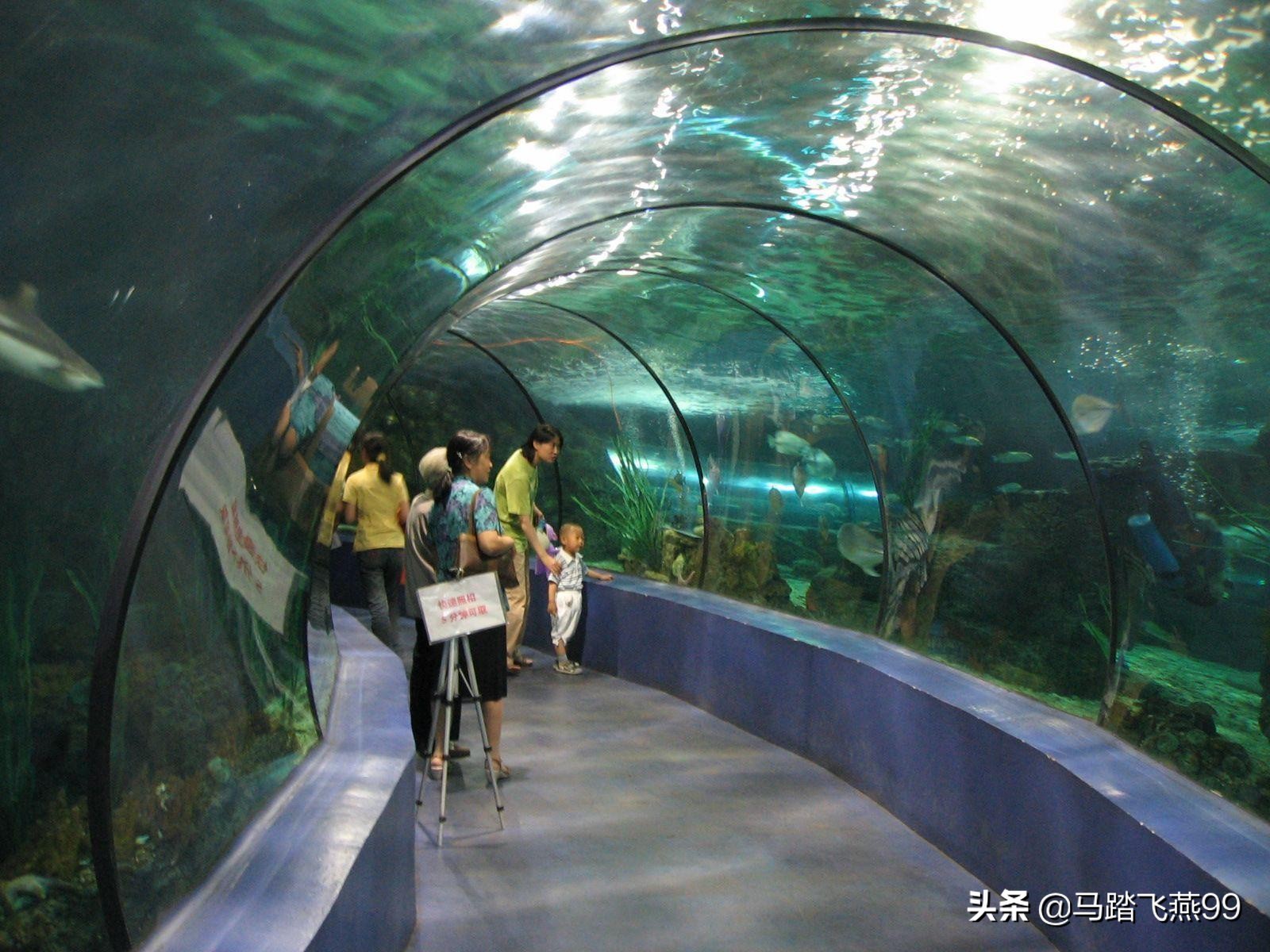 武汉市海洋馆有什么好玩的,武汉海洋馆附近有什么好玩的地方