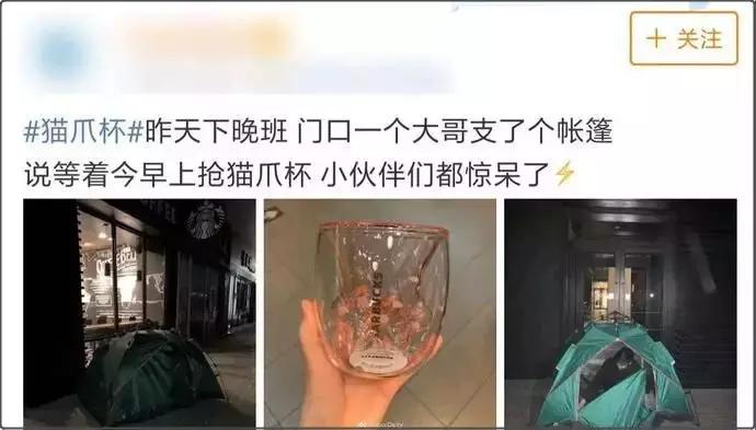 猫爪杯星巴克被炒到多少钱,网红猫爪杯199元