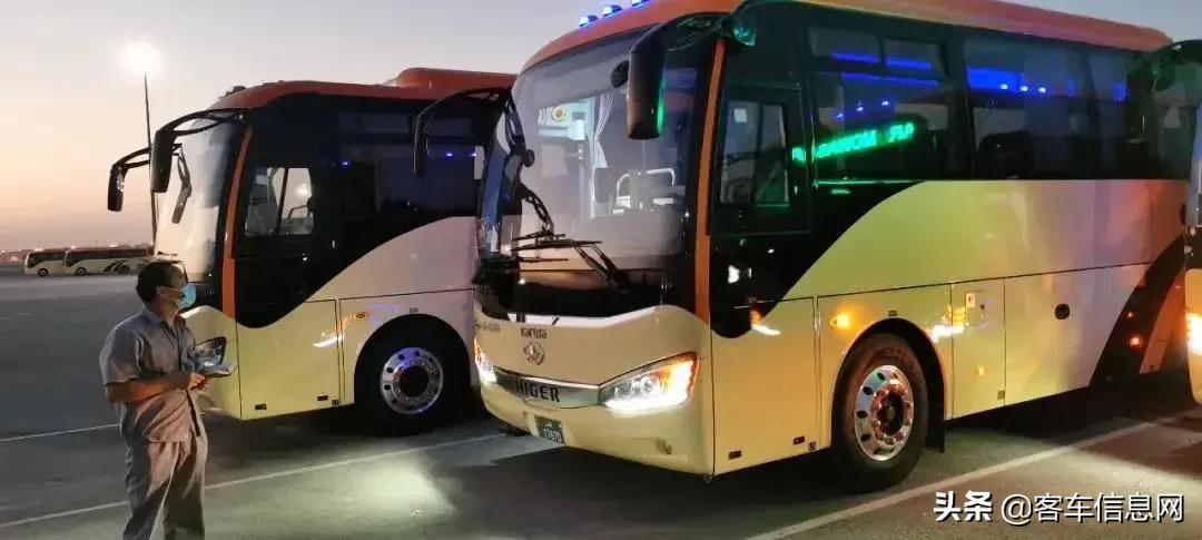 海格客车苏州金龙卡塔尔世界杯,海格大客车100座