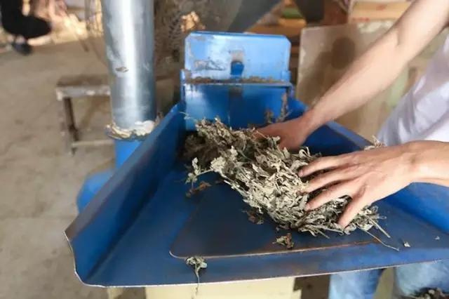 用药如用兵完整版,用药如用兵论朗诵