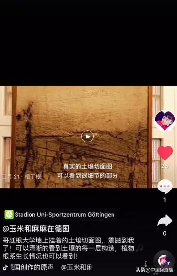 周老师抖音课程教学,周老师的抖音教学课程