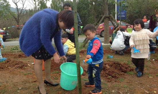 植树节活动策划方案2018,植树节活动策划汇编15篇