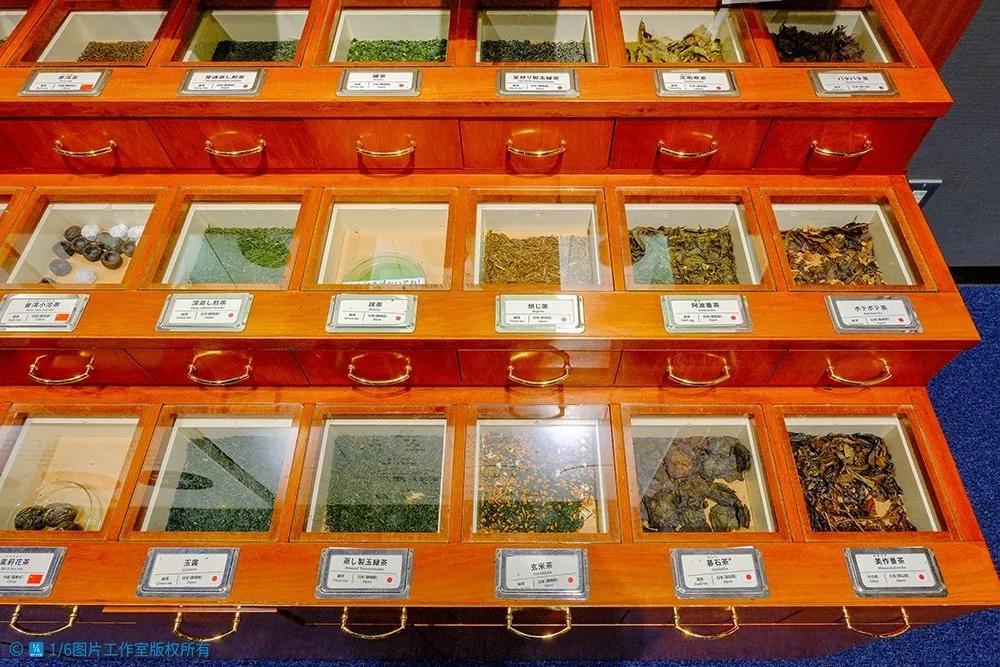 日本的茶博物馆,日本茶之都茶道体验