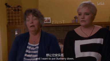 打猫可以纠正猫的坏行为吗,猫犯错了可以关起来吗