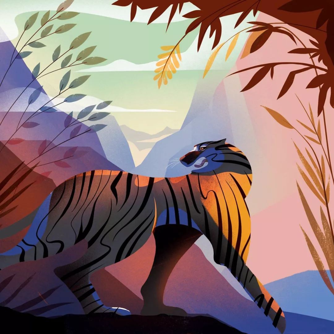 全球插画奖获奖作品集,全球插画大赛2019