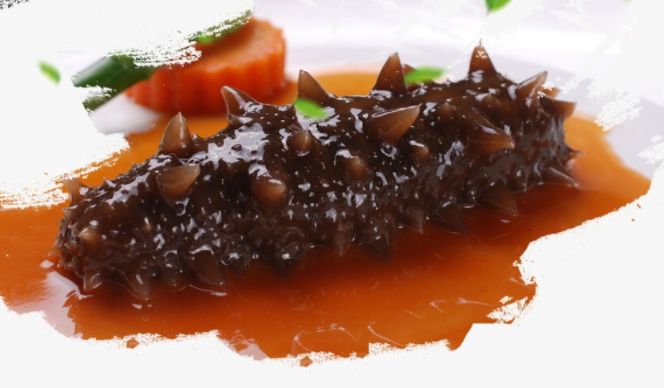 常吃海参,吃海参应注意些什么