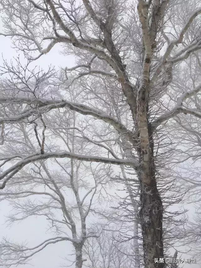 日本一个岛国为什么经济这么强,日本一个岛国为什么如此强