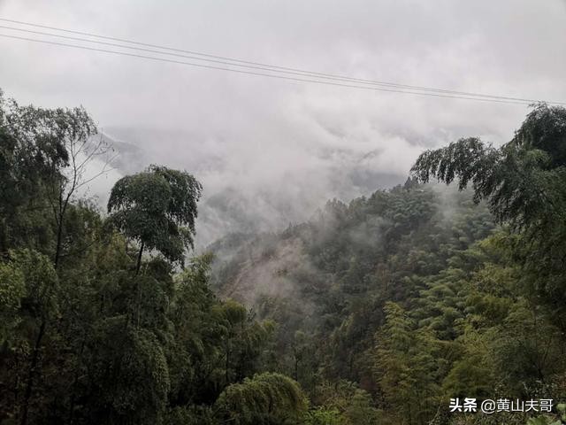 茶中翡翠，歙县滴水香——一颗蒙尘在北纬30°线上的黄山明珠