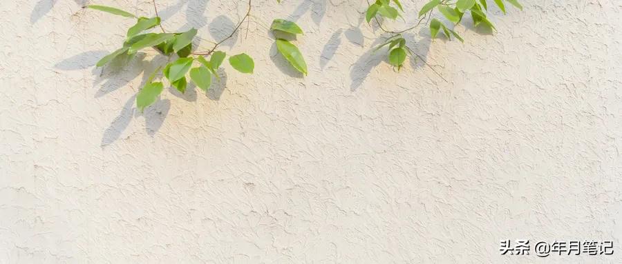 一张避孕套小票，我证实了他丑恶的嘴脸