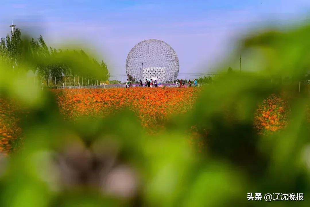 沈阳新北汤温泉游玩攻略,沈阳到西沙群岛游玩攻略