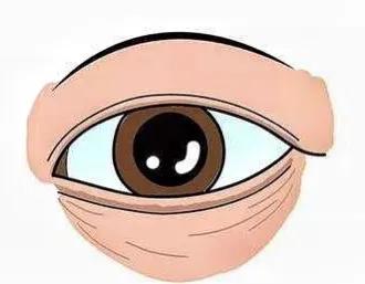 女明星增肥30斤又减回来太瘦,明星都有哪些增肥方法