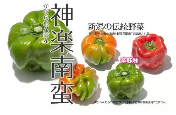 日本人喜欢辣椒吗 (日本人对辣椒的热爱)