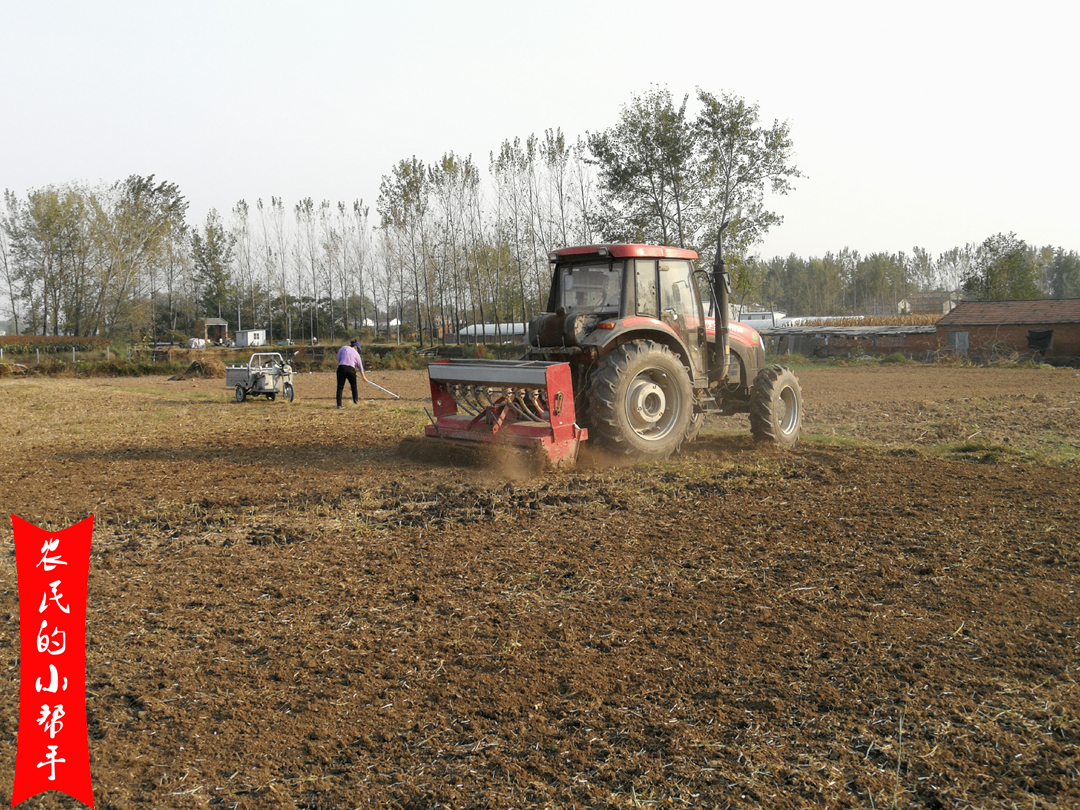 种小麦氯化钾好还是硫酸钾好,种小麦复合肥和掺混肥哪种好