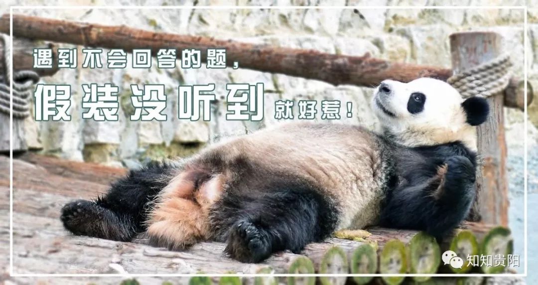 黔灵山公园熊猫馆五一节,贵阳市黔灵山公园熊猫馆开放时间