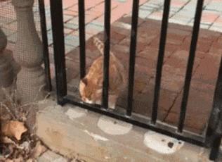 穿恨天高坐地铁的社死现场，两位男士都不忍看这次“崴脚表演”