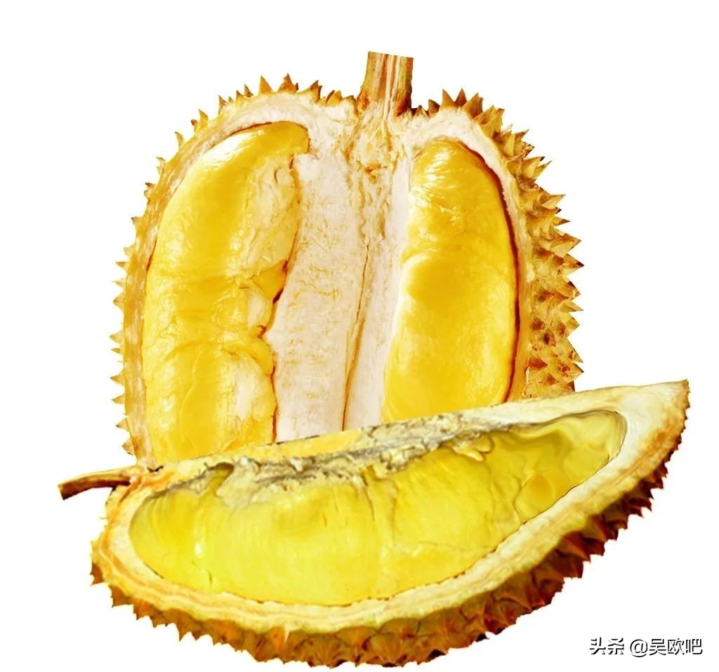 蜜月潜水看海推荐,全球最适合蜜月旅游的海岛