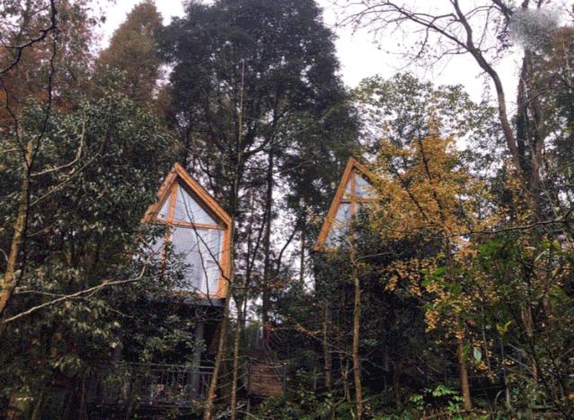 成都值得打卡的民宿便宜,成都最值得住的网红打卡地